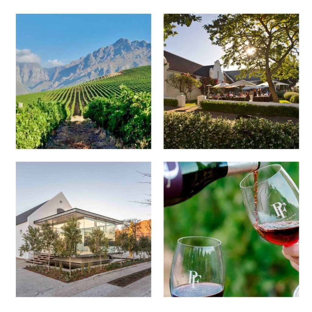winelands excursion day